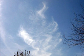 �������� ������ ��� Cirrus